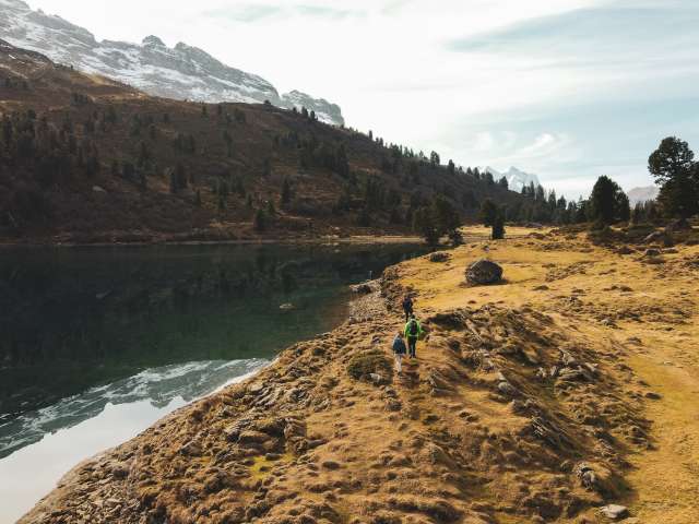 Tamedia Herbst-Beilage