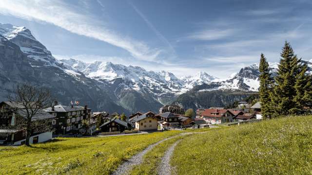 Film promotionnel Summer