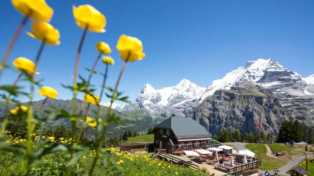 Film promotionnel Allmendhubel