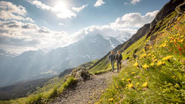 Sentier panoramique Männlichen - Petite Scheidegg