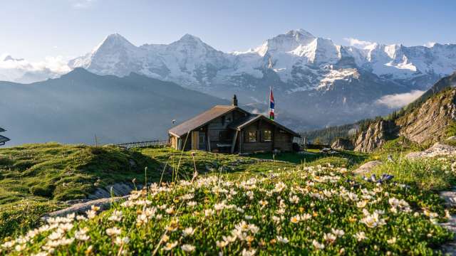 Film d'image Région de la Jungfrau été