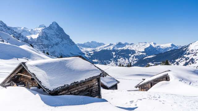 Comment le monde devrait être