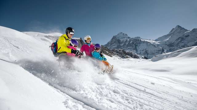 Paradis de la luge Bussalp