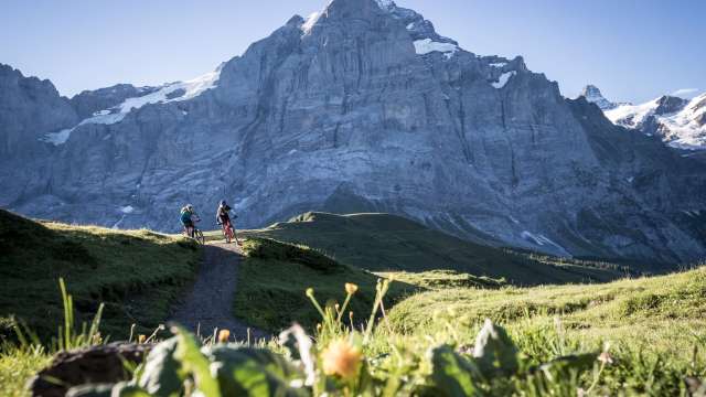 Grindelwald, paradis du VTT