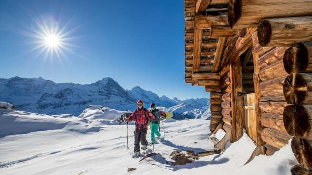 Randonnée en raquettes