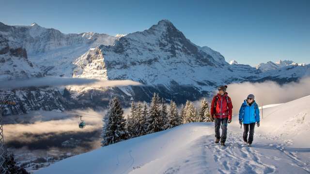 Winterwandern