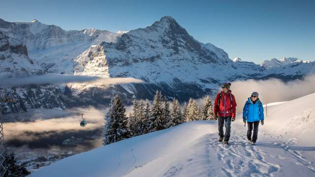 Randonnée hivernale